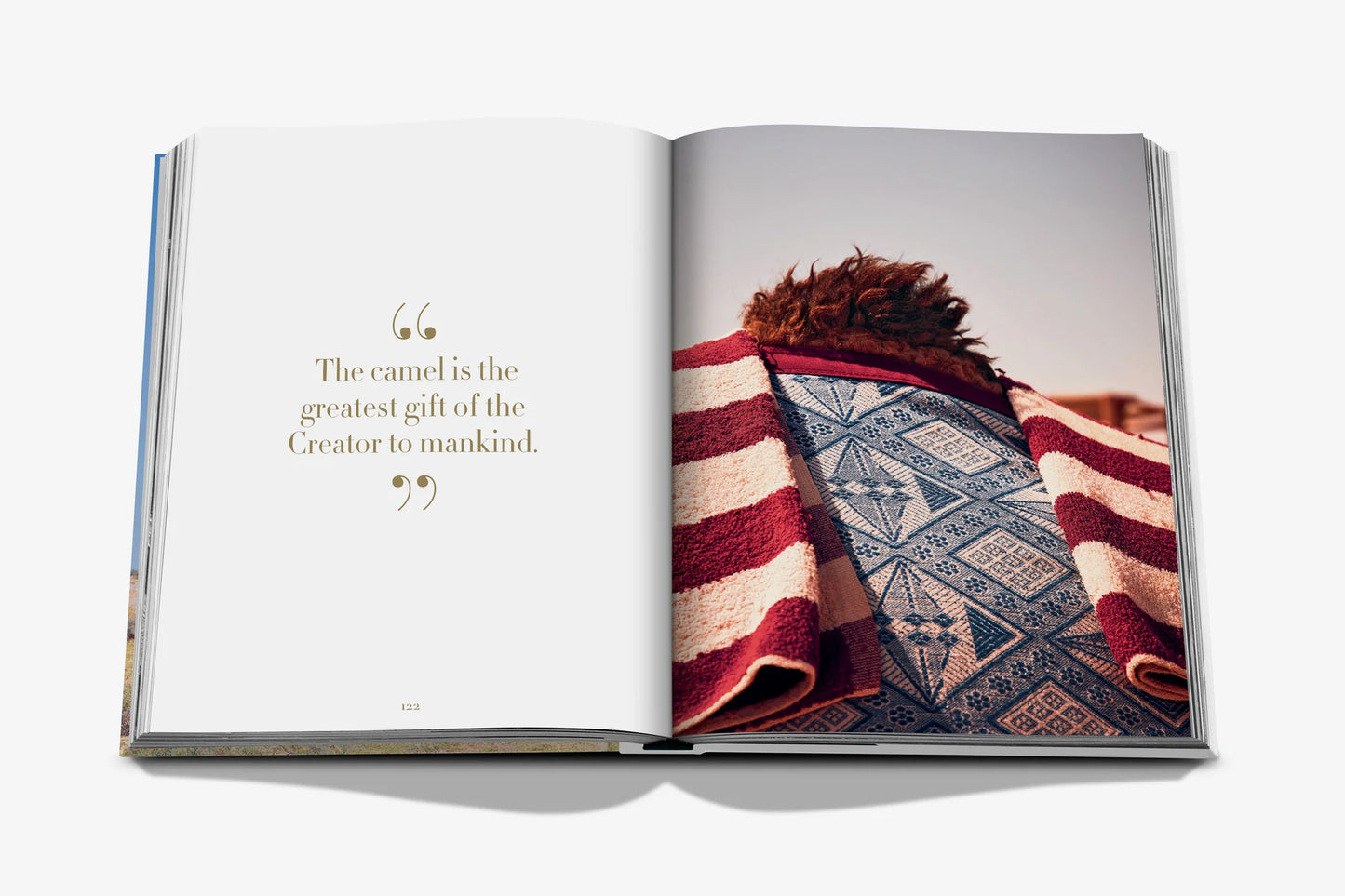 Camels from Saudi Arabia Book