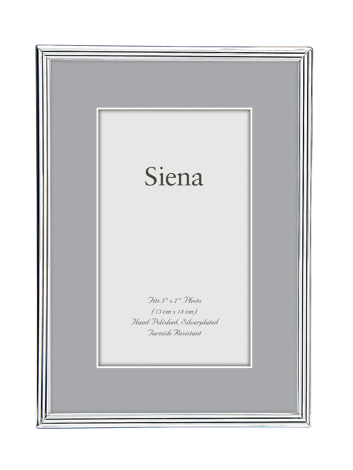 Narrow Groove Silver Frame
