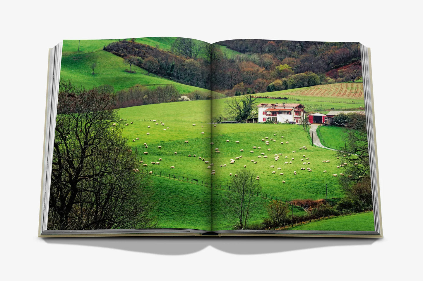 Biarritz Basque Coffee Table Book