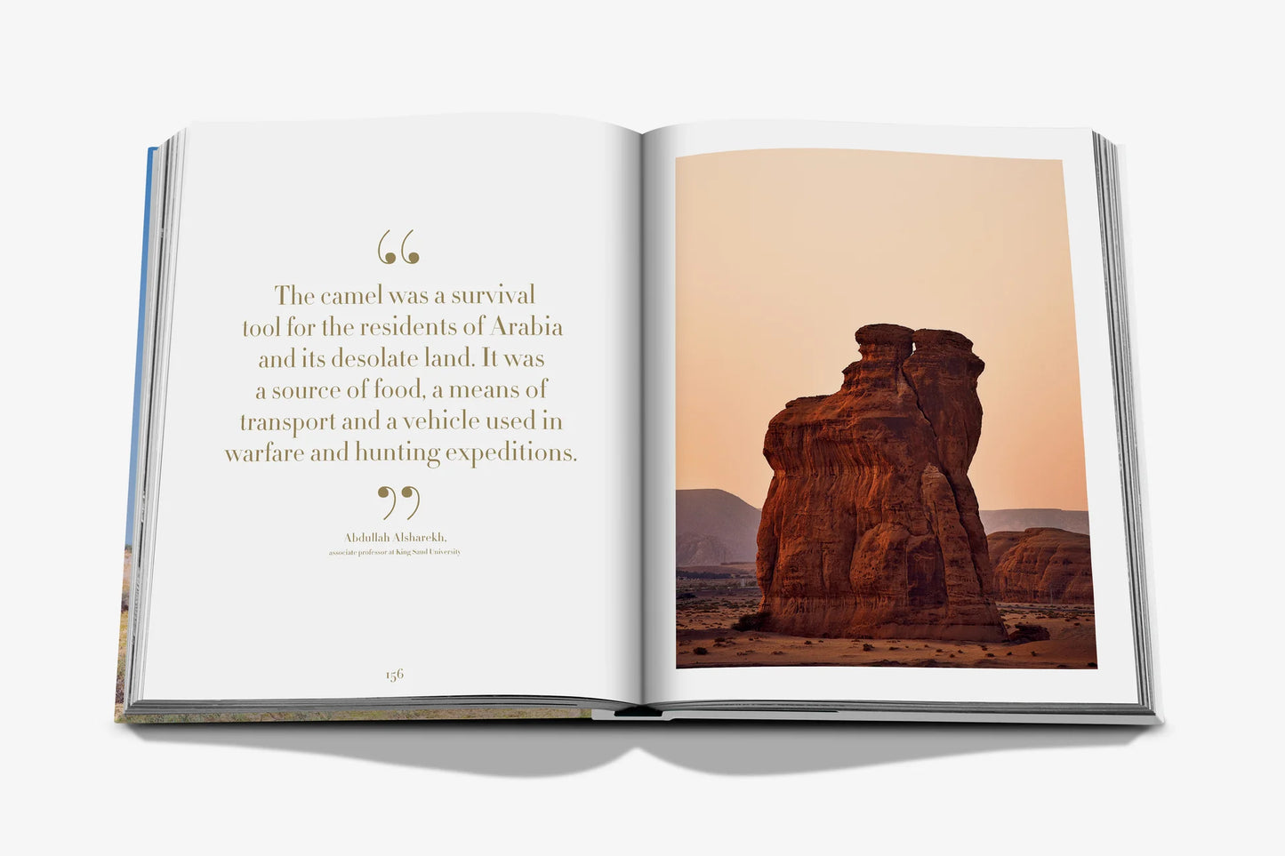 Camels from Saudi Arabia Book