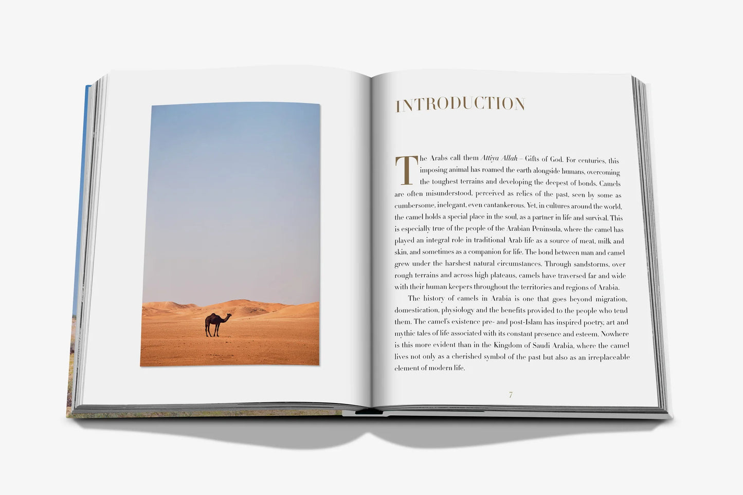 Camels from Saudi Arabia Book