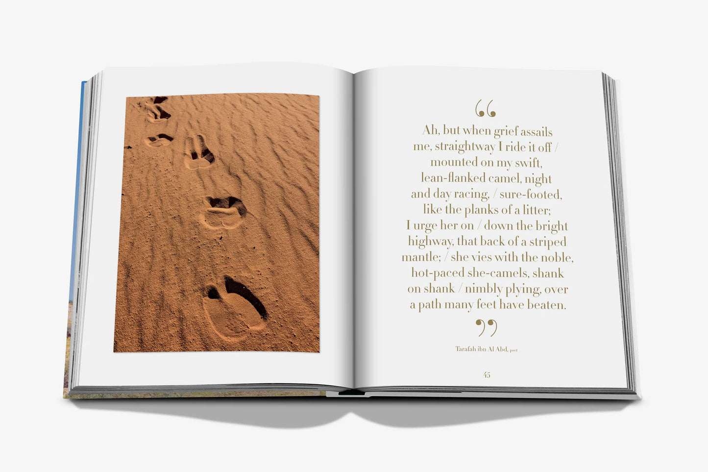 Camels from Saudi Arabia Book
