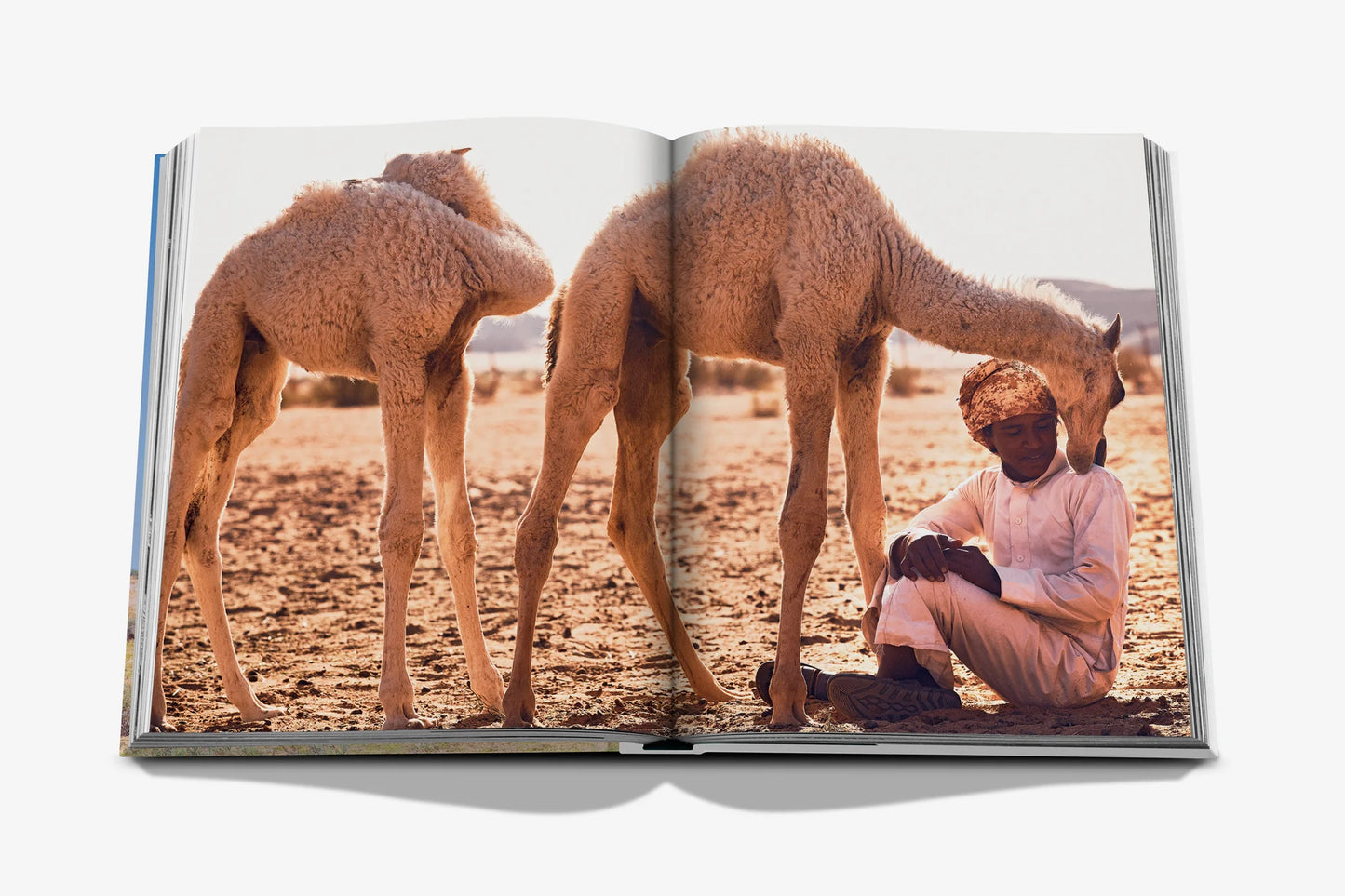 Camels from Saudi Arabia Book