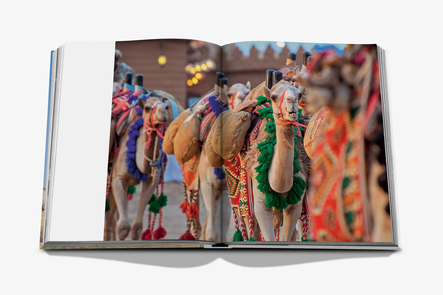 Camels from Saudi Arabia Book
