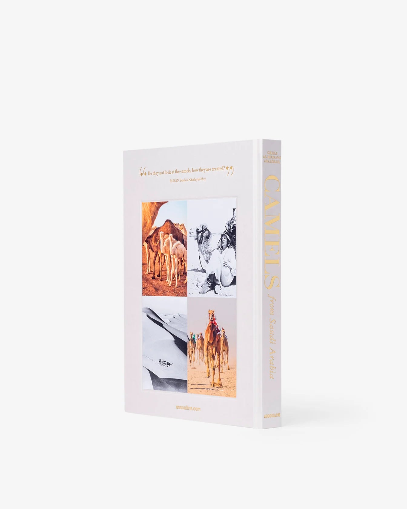 Camels from Saudi Arabia Book