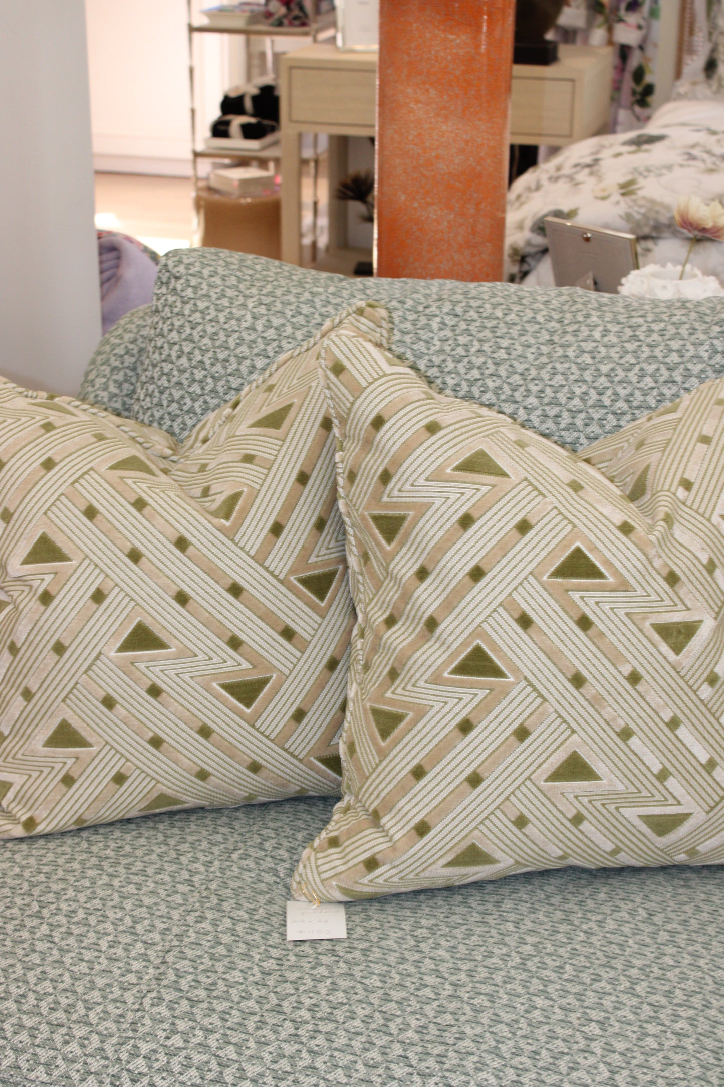 Salamandre Kasai Velvet Aloe Pillow