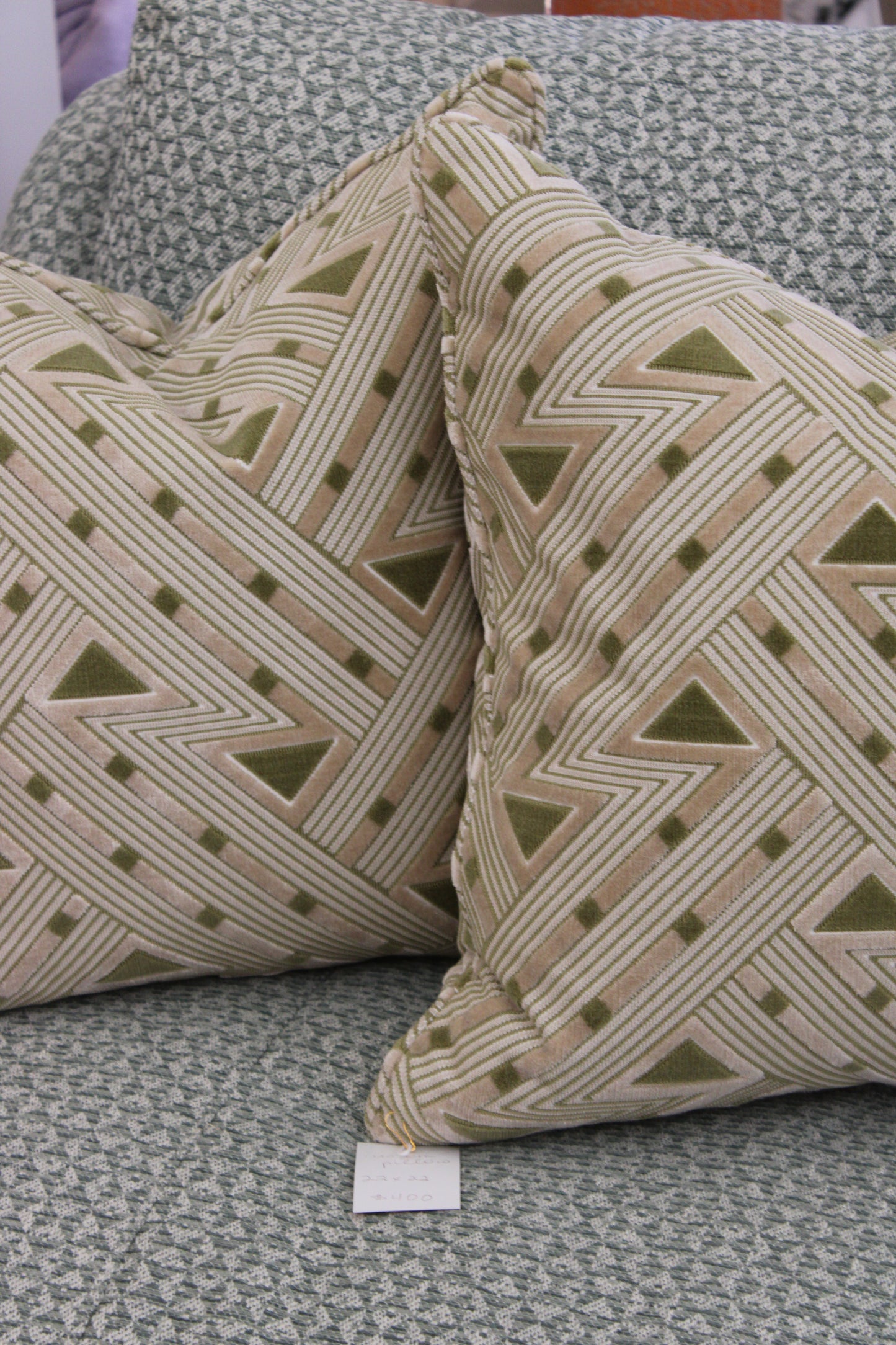 Salamandre Kasai Velvet Aloe Pillow