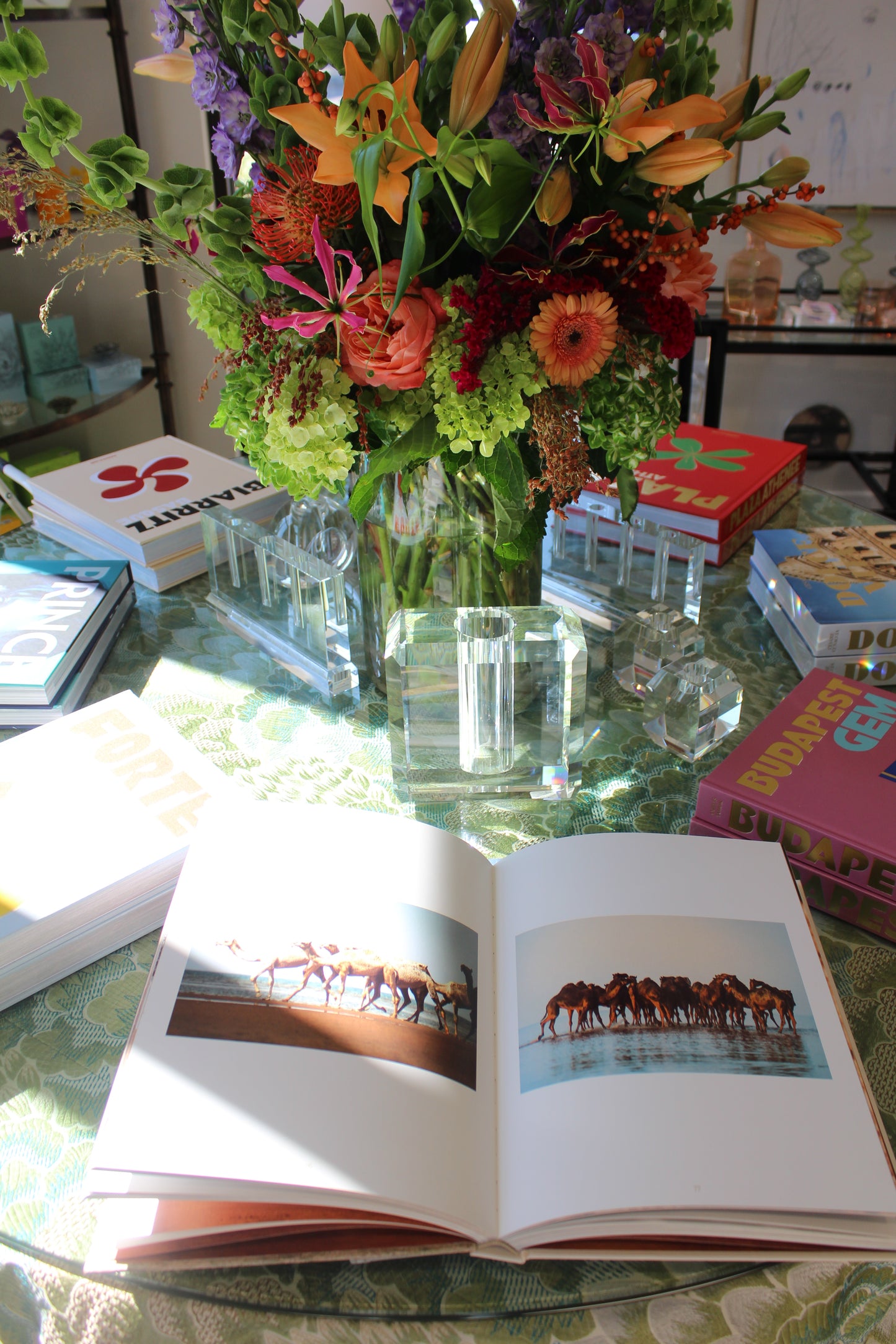 Popwell/Hahn: Coffee Table Books