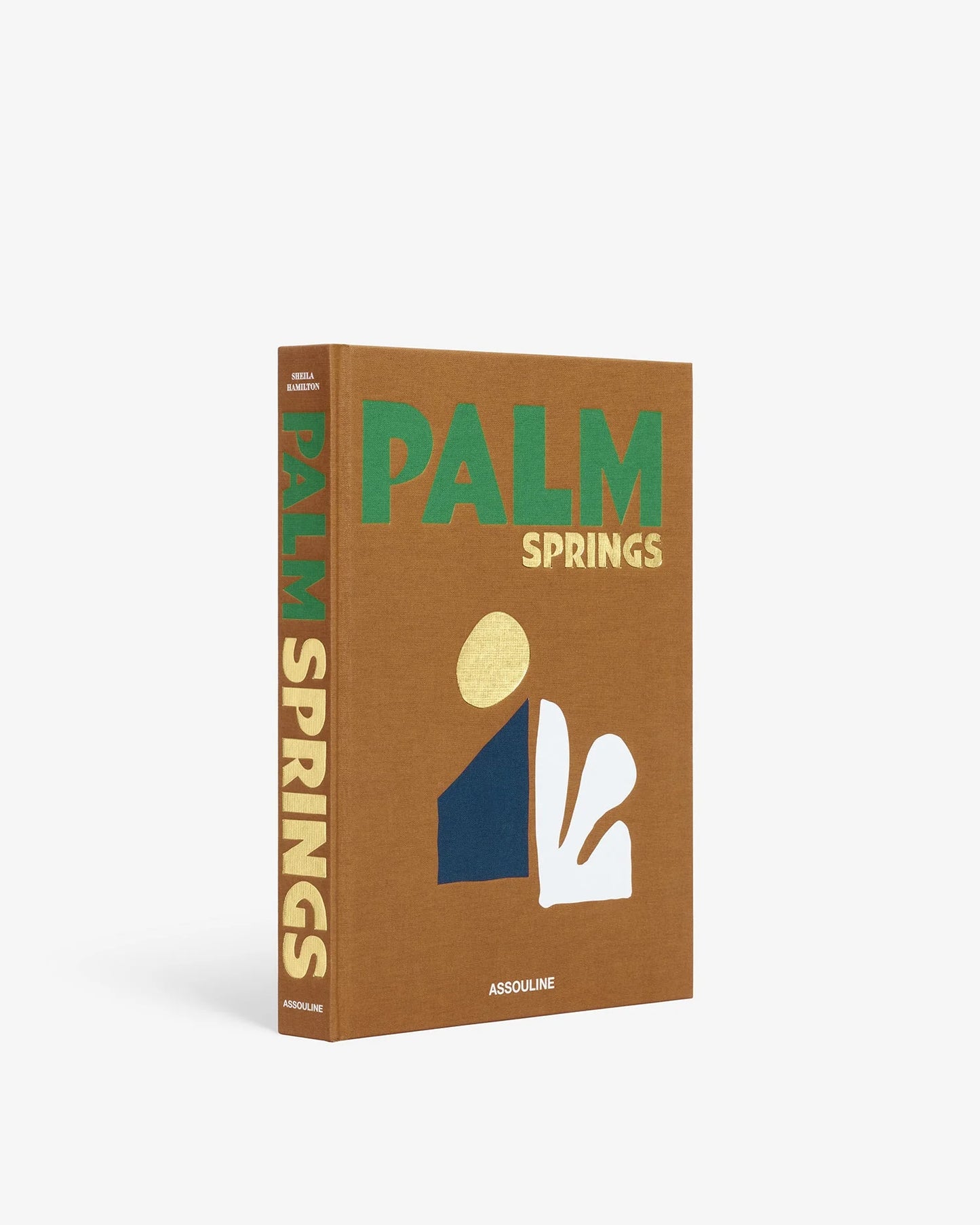 Palm Springs Coffee Table Book