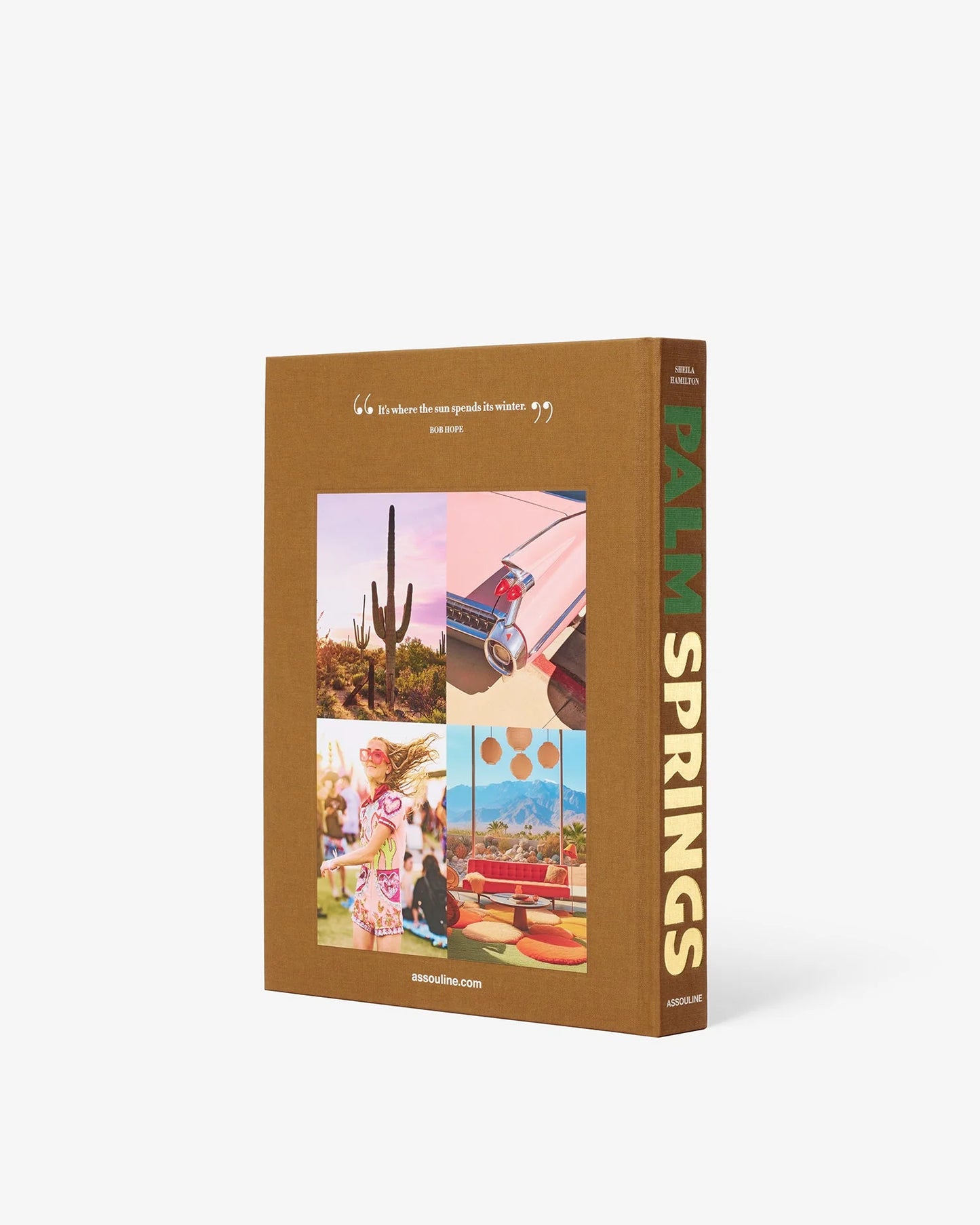 Palm Springs Coffee Table Book