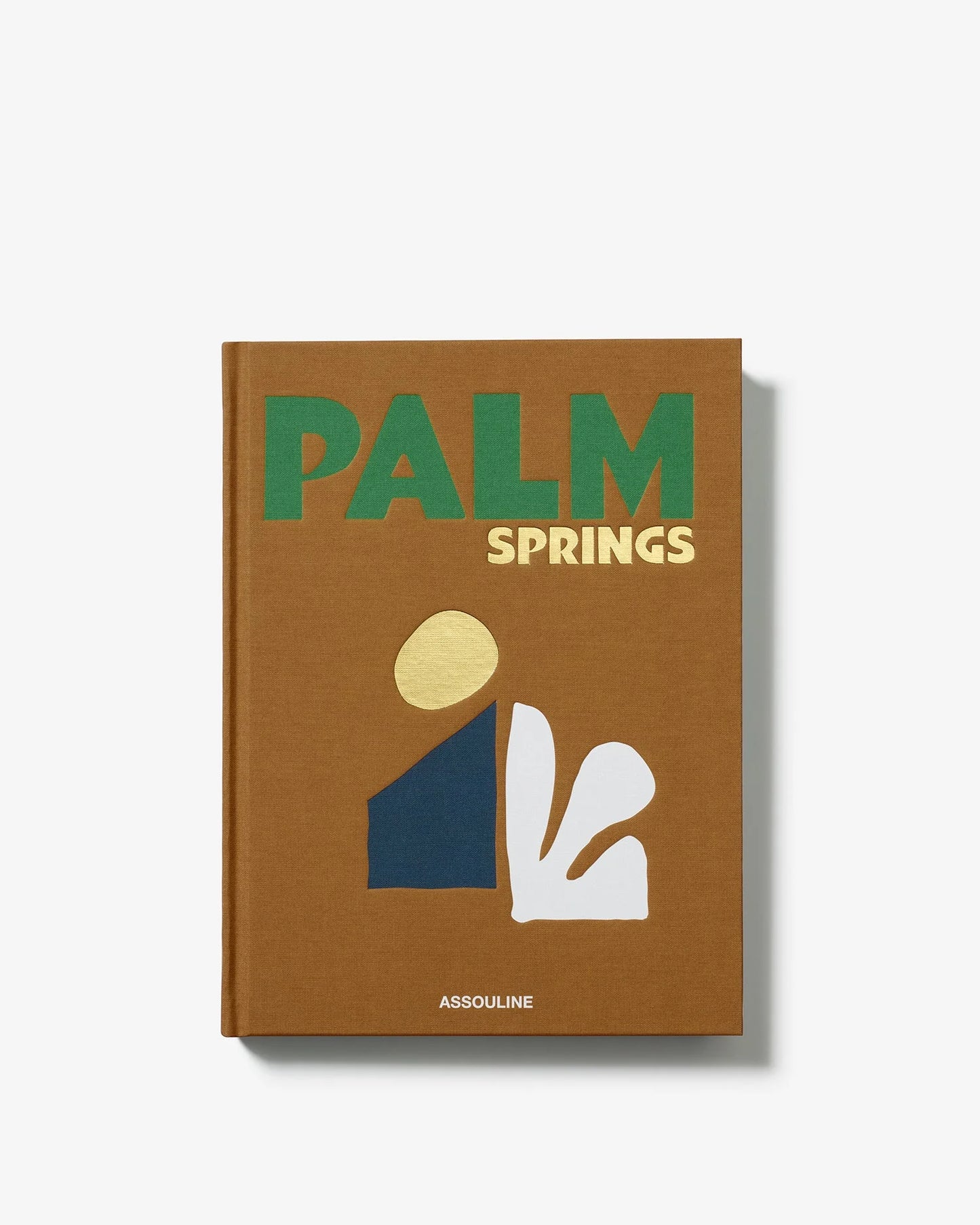 Palm Springs Coffee Table Book