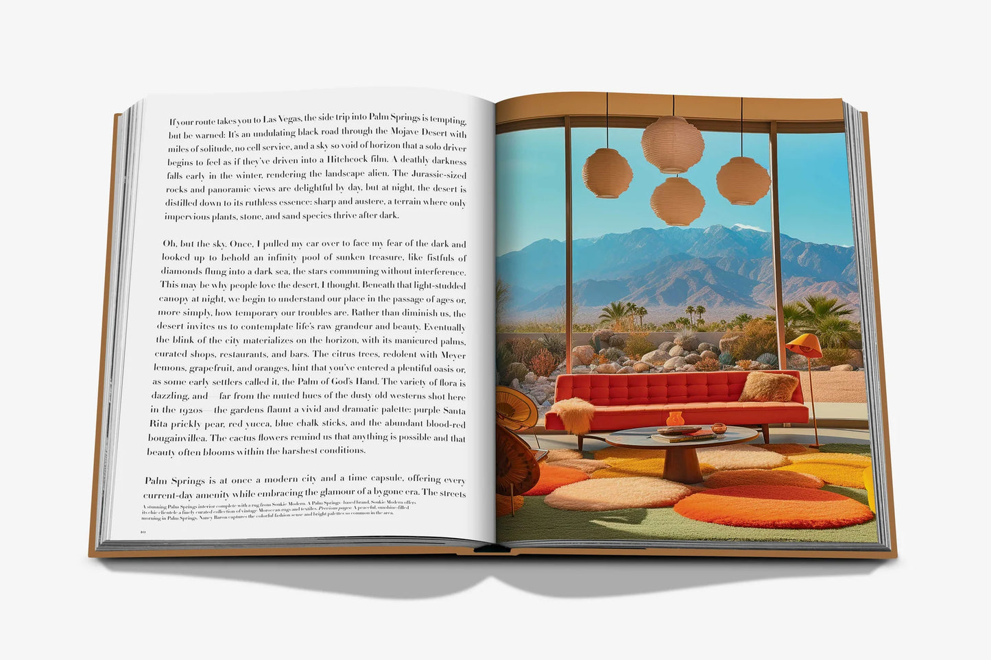 Palm Springs Coffee Table Book
