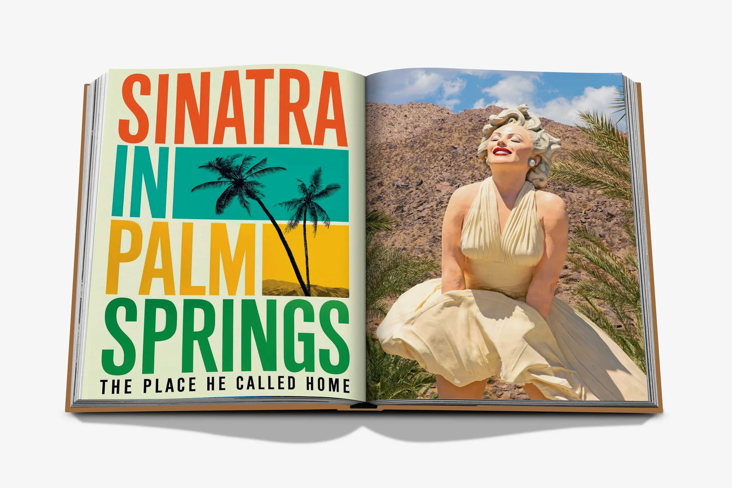 Palm Springs Coffee Table Book