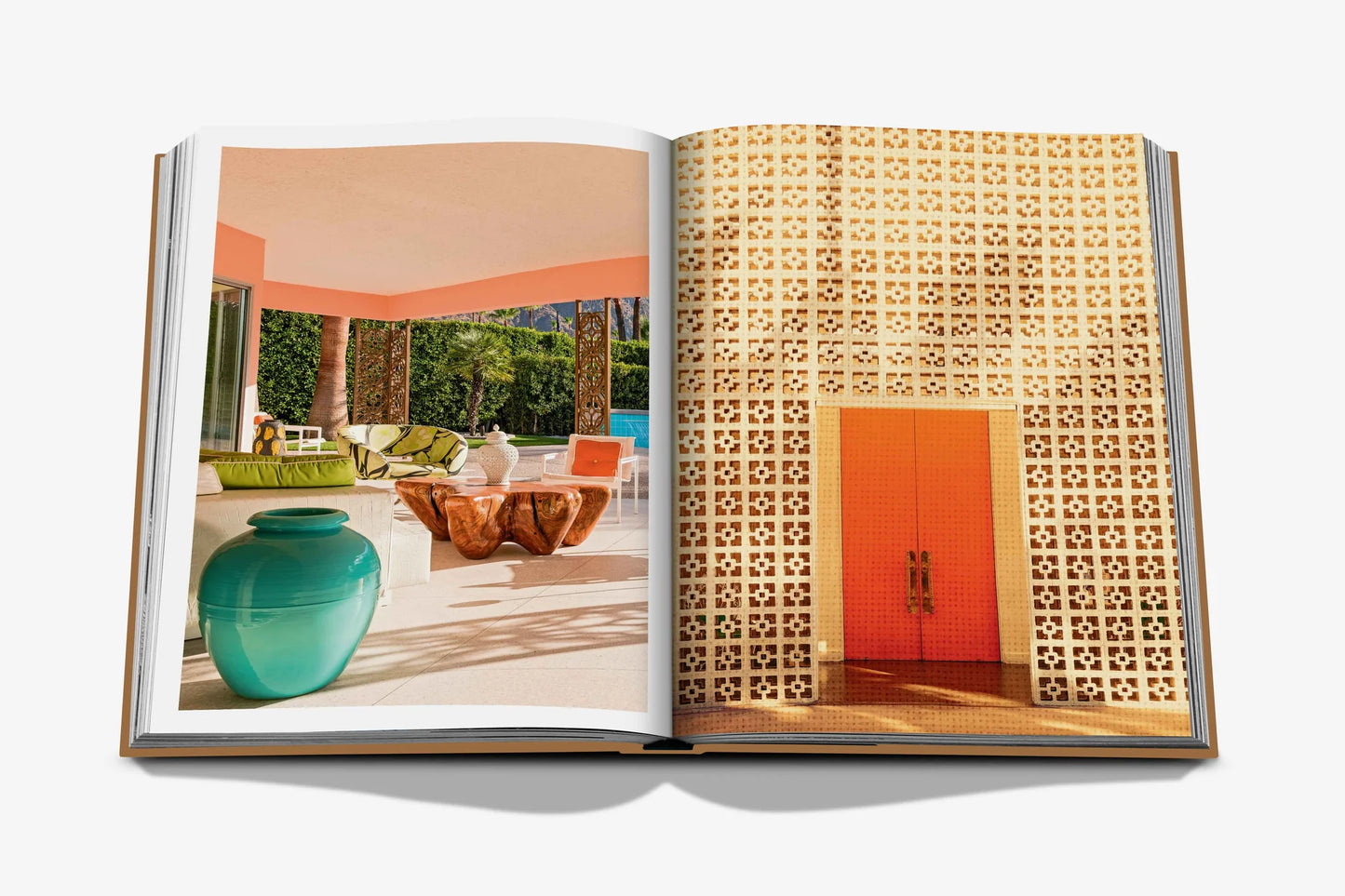 Palm Springs Coffee Table Book
