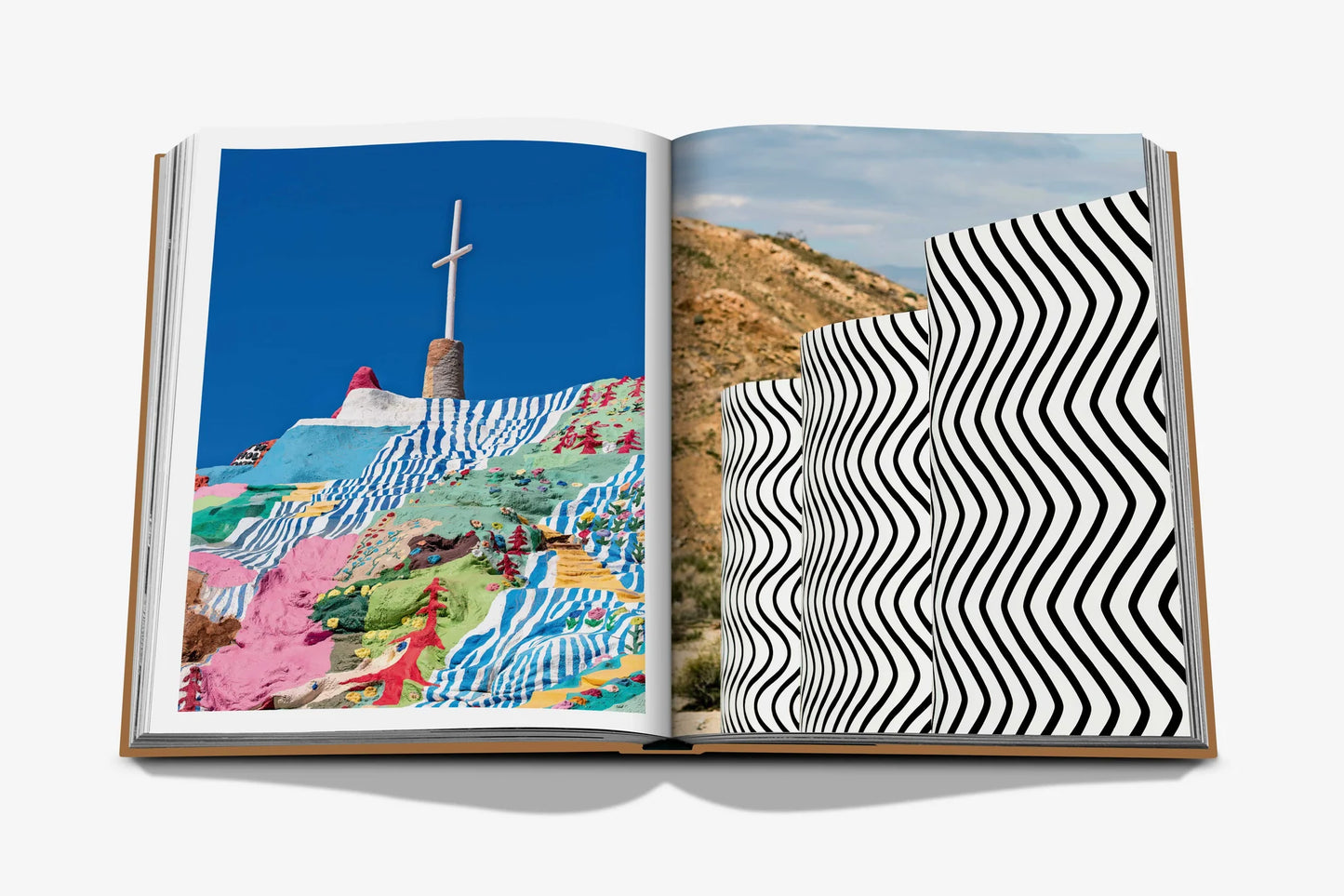 Palm Springs Coffee Table Book