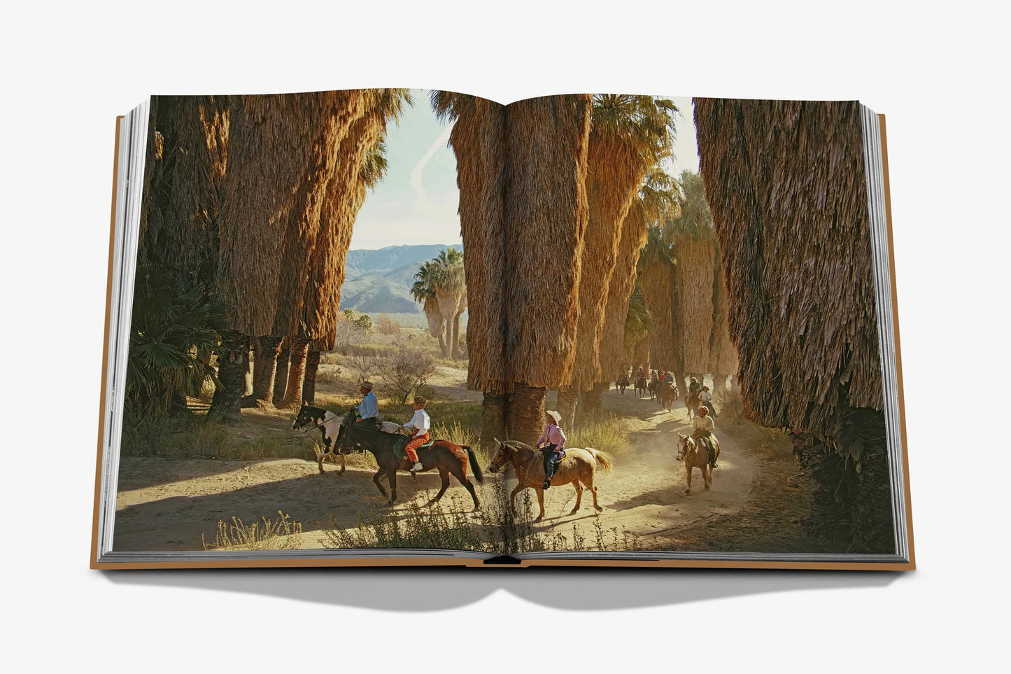 Palm Springs Coffee Table Book