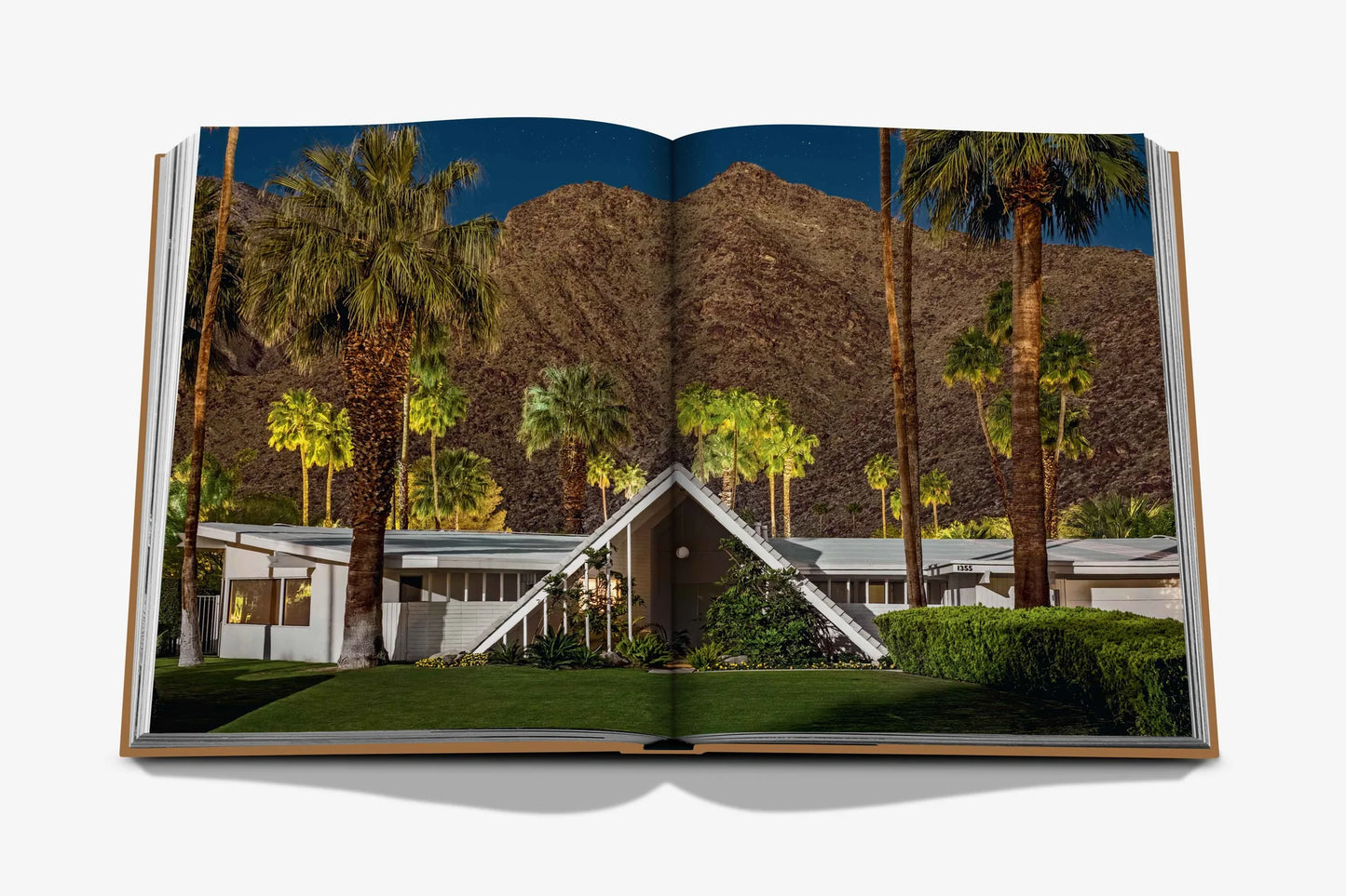 Palm Springs Coffee Table Book