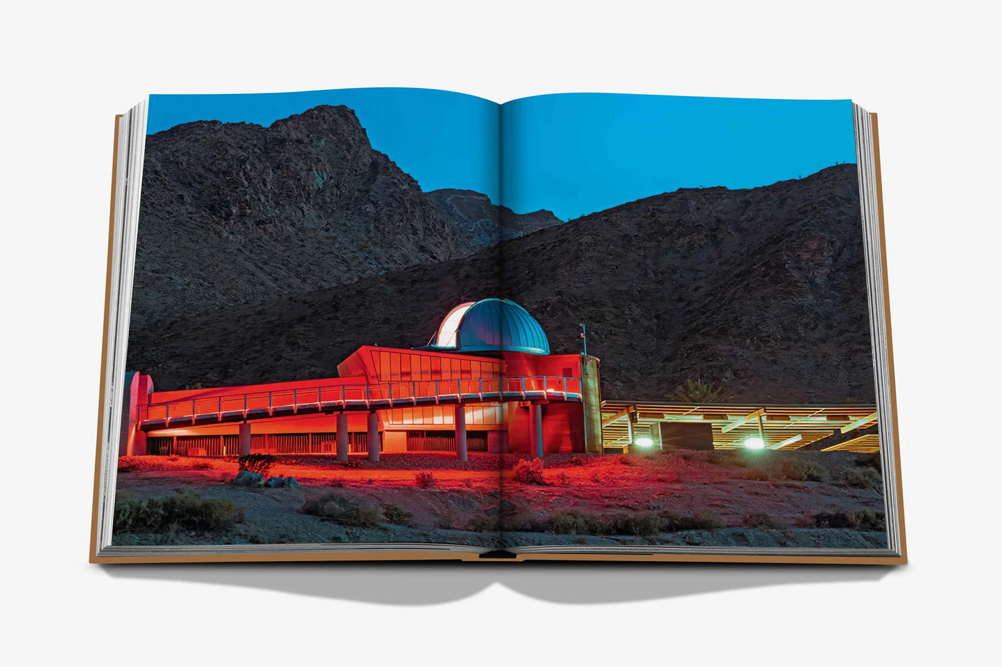 Palm Springs Coffee Table Book