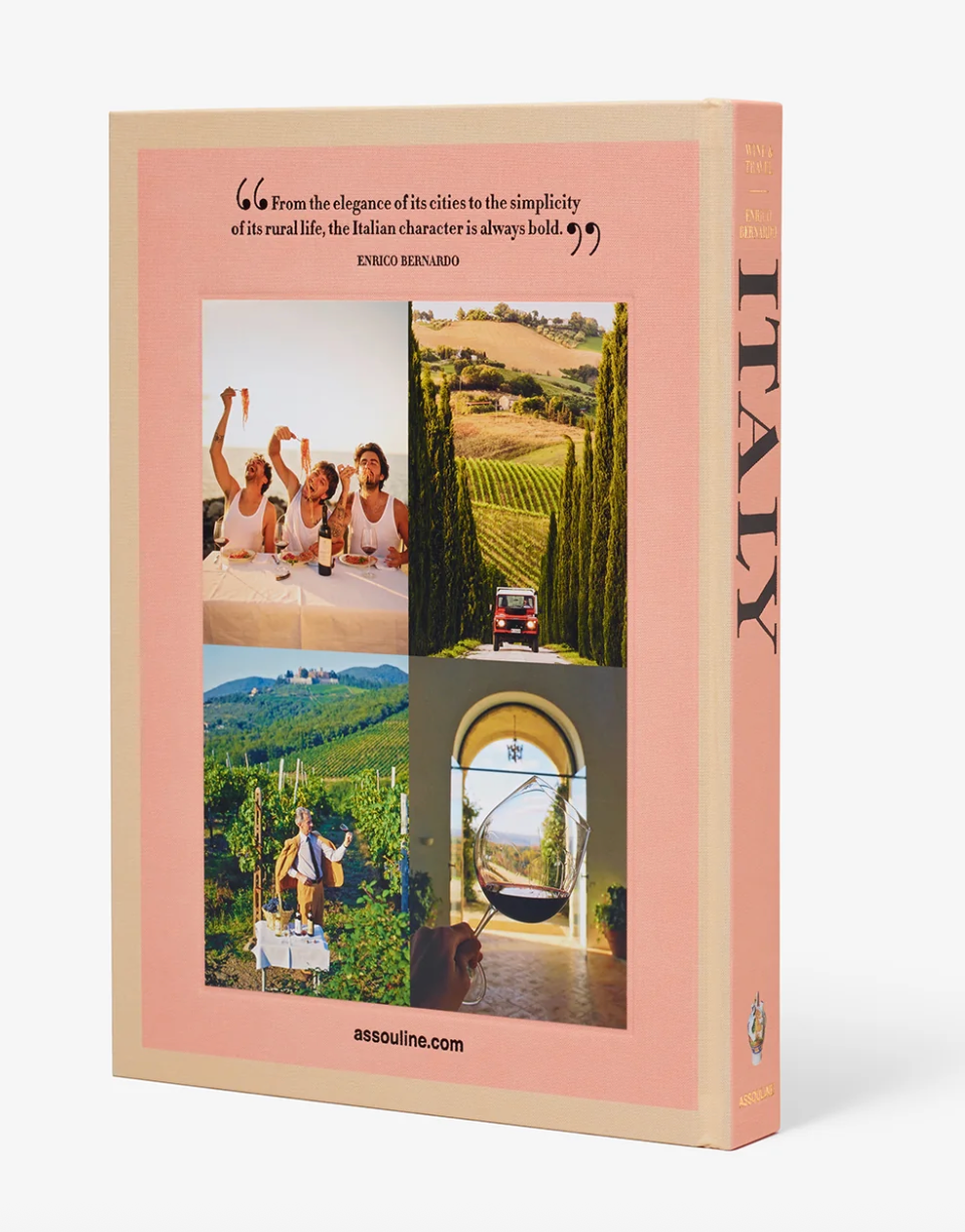 Daniel/Gillespie: Italy Wine and Travel Book