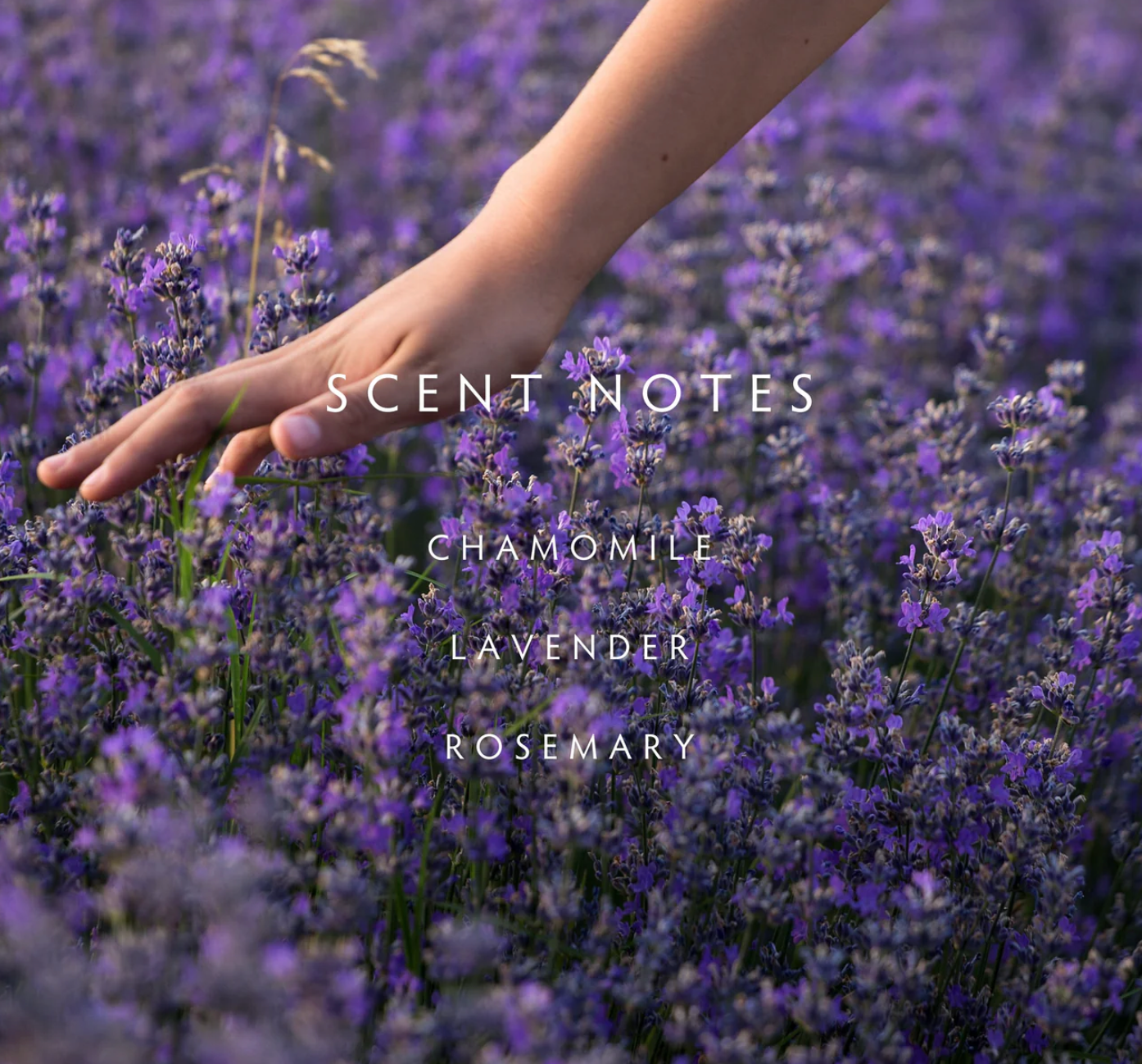 Lavender Rosemary Candle