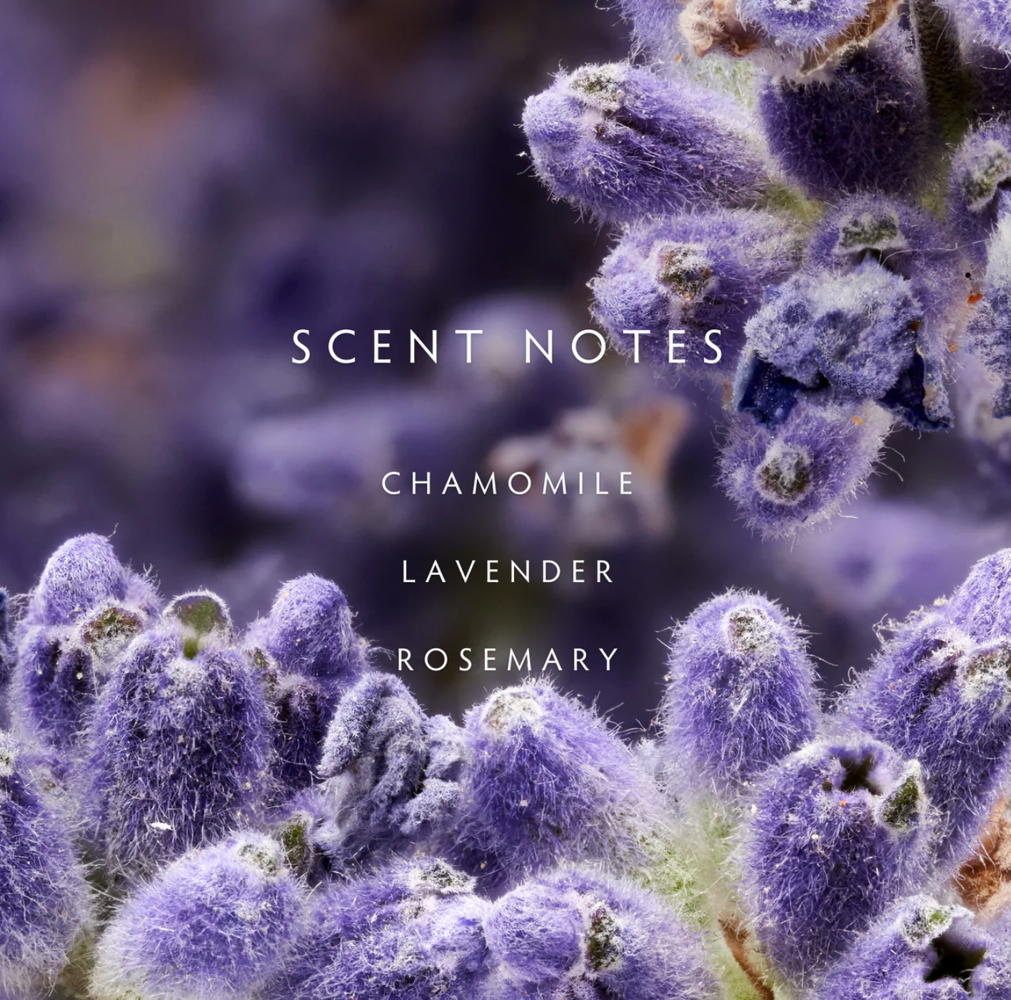 Lavender Rosemary Diffuser