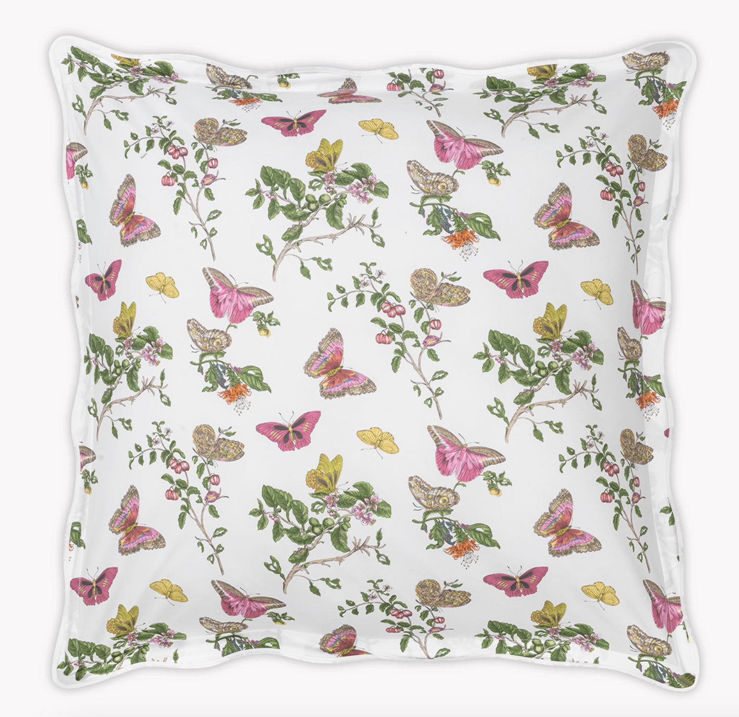 Baudin Butterfly Sham