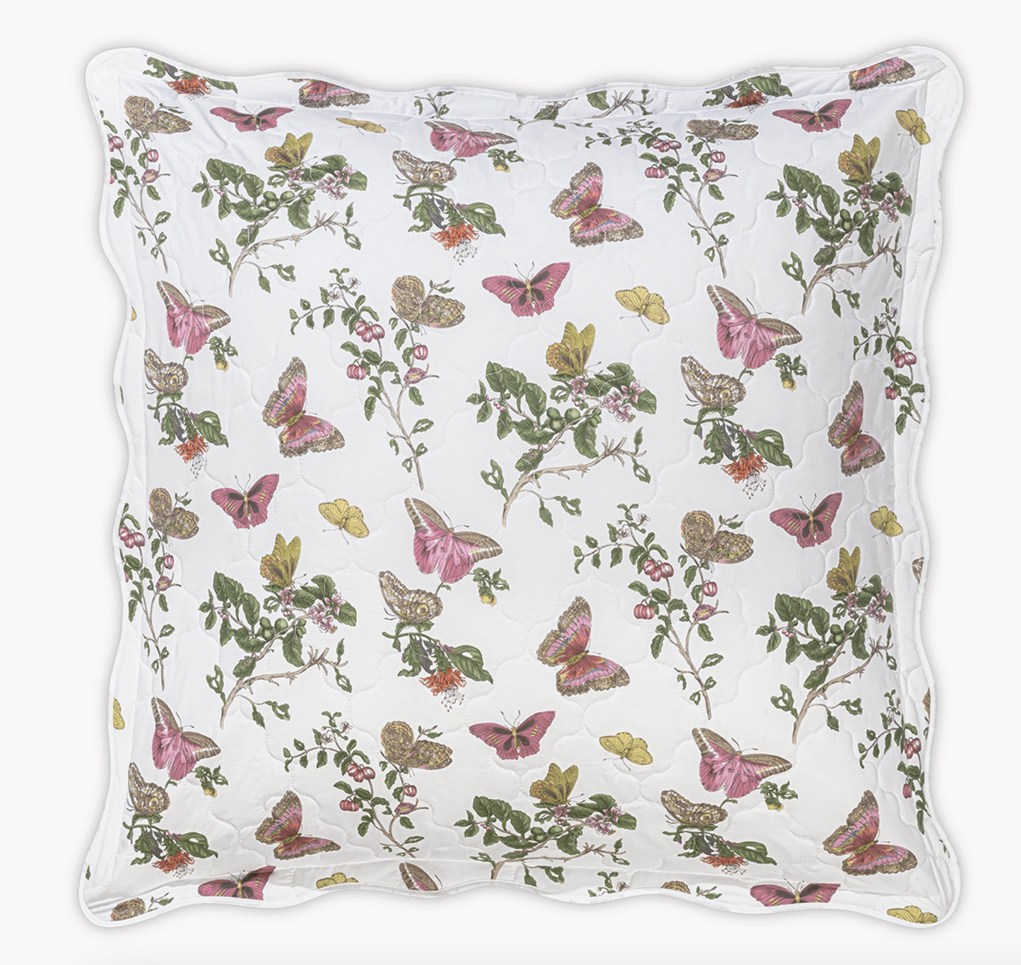 Baudin Butterfly Quilted Sham